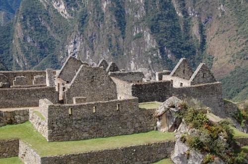 Inca contribution