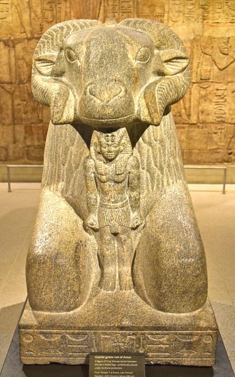 Ram of Amun (James Blake Wiener)