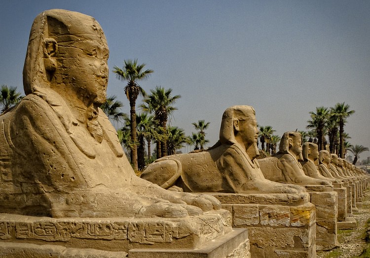 Avenue of the Sphinxes, Thebes (sdhaddow)