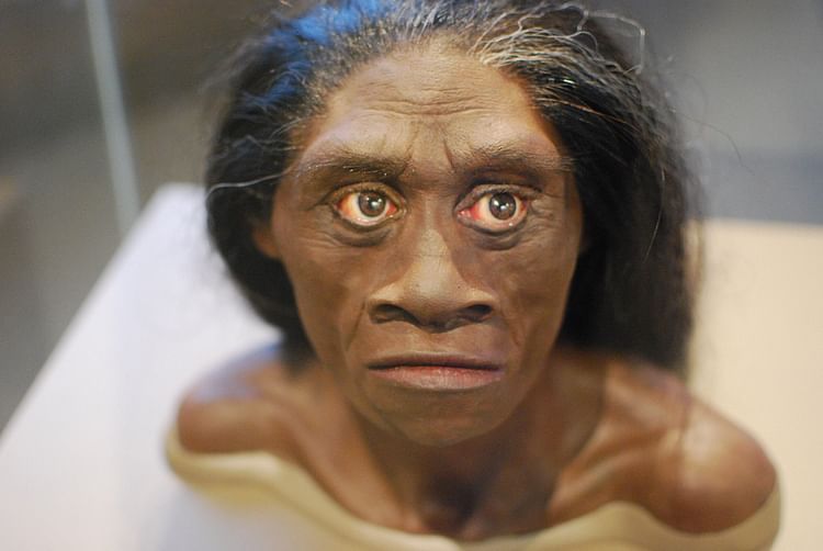 Reconstrucción Homo Floresiensis (Karen Neoh)