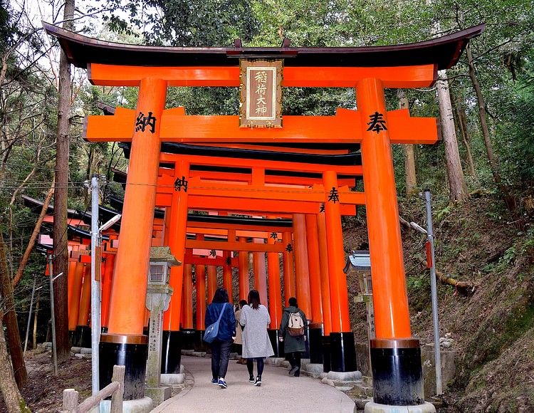 Torii, Fujiwara Inari Shrine (James Blake Wiener)