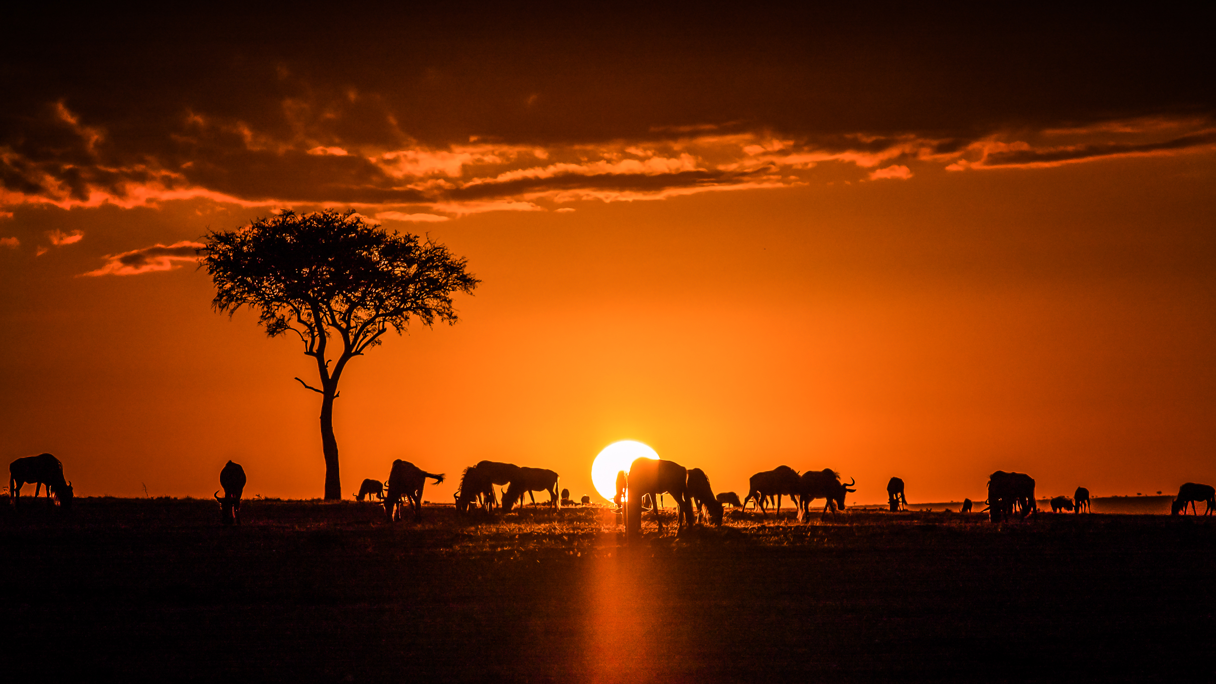 Sunrise in the Maasai Mara (Illustration) - Ancient History Encyclopedia