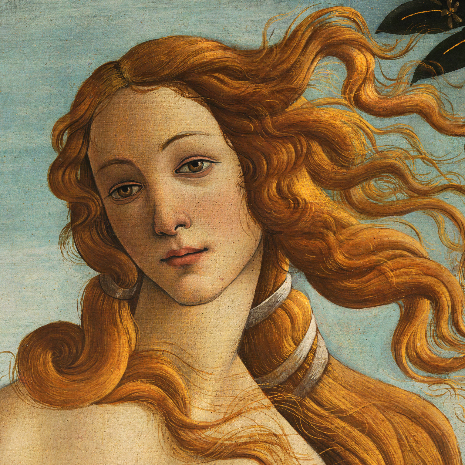 Venus (Sandro Botticelli) (Illustration) - Ancient History Encyclopedia