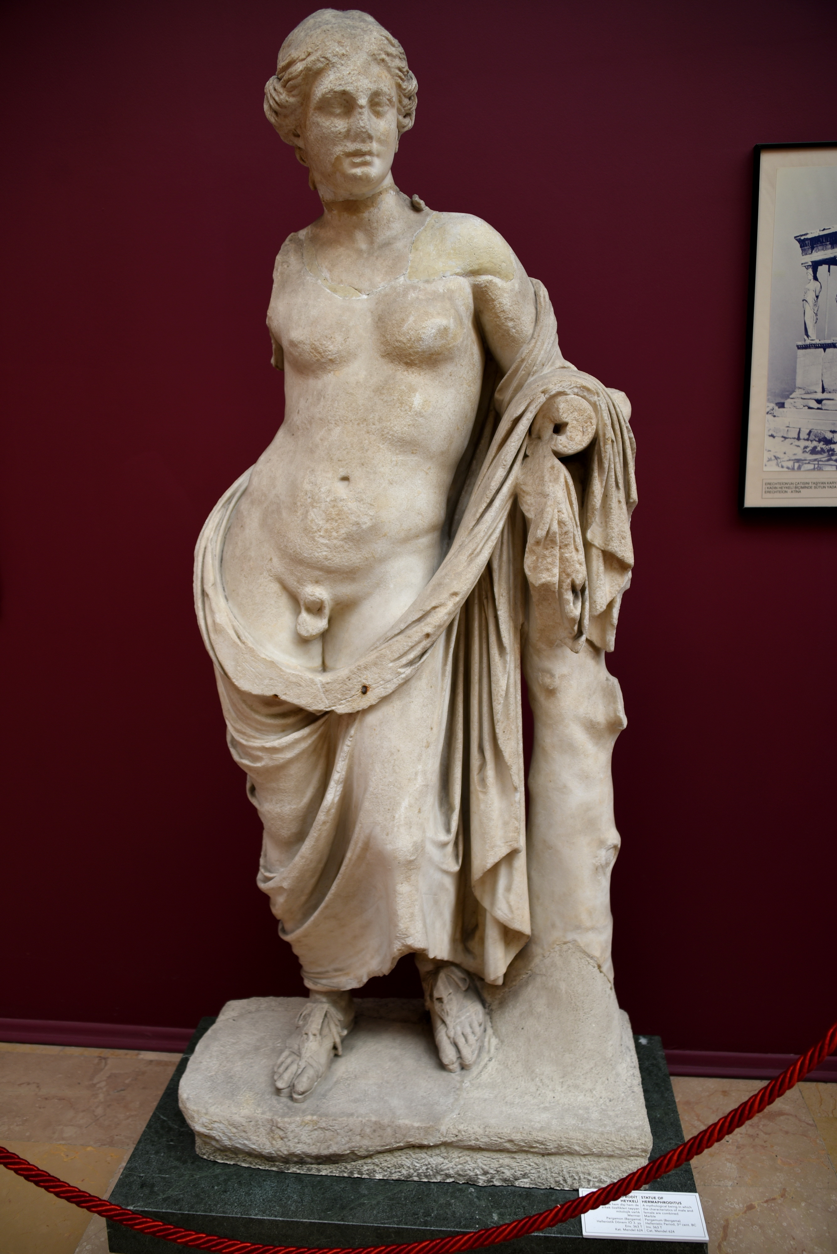 Statue of Hermaphroditus from Pergamon (Illustration) - Ancient History  Encyclopedia