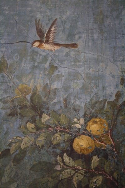 Fresco, la Villa de Livia, Roma