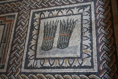 Espárrago, mosaico romano