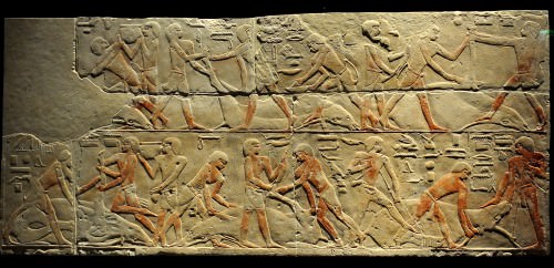 Scena di macellazione del bestiame da Saqqara