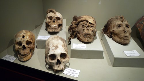 Momia Skulls, Cahuachi